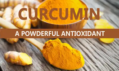 Turmeric Extract Curcumin as a Potent Antioxidant